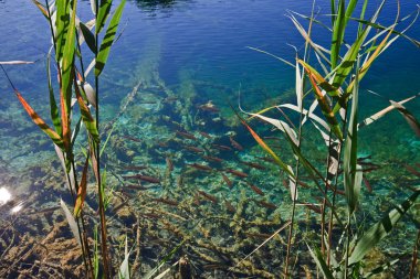 Plitvice