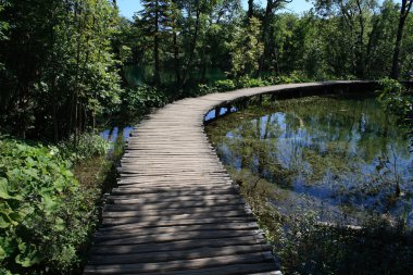 Footbridge - plitvice lakes clipart