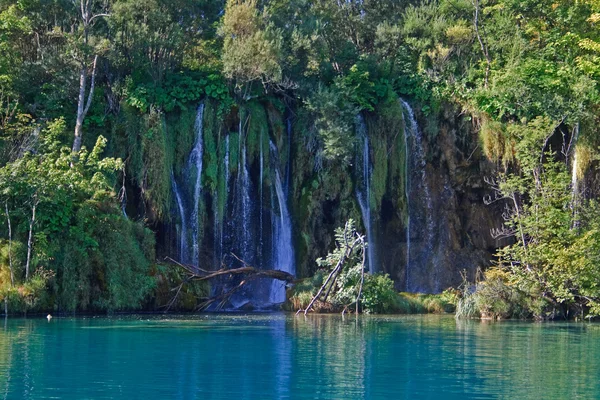 Водопад - plitvice озера — стоковое фото