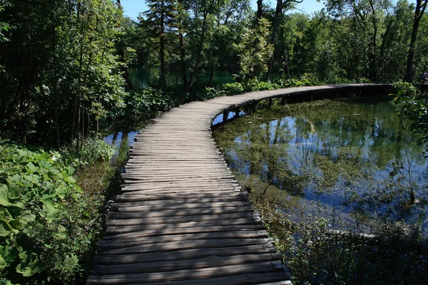 歩道橋 - プリトヴィッツェ湖群 — ストック写真