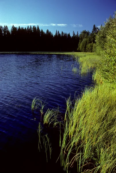 Sjön i Sverige — Stockfoto