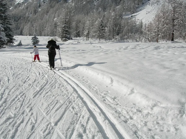 北欧滑雪 — 图库照片