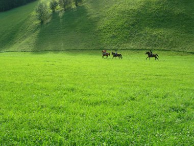 Valle Aurina