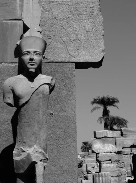 B & W karnak temple statue 05 — стоковое фото