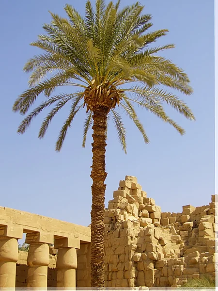 Świątyni Karnak 03 — Zdjęcie stockowe