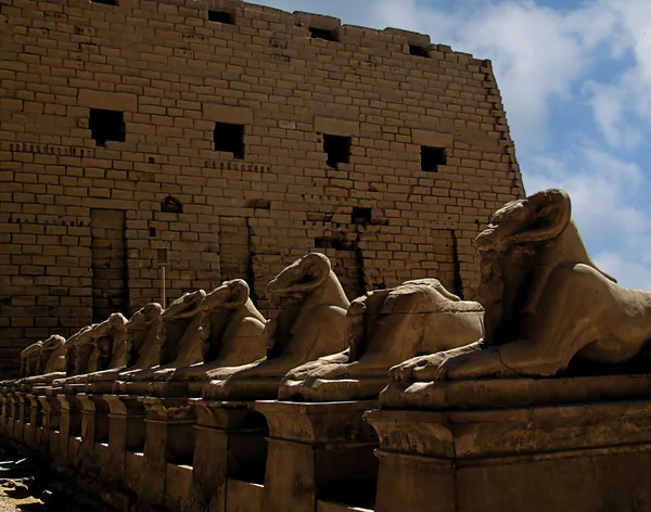 Templo de Karnak con esfinges — Foto de Stock
