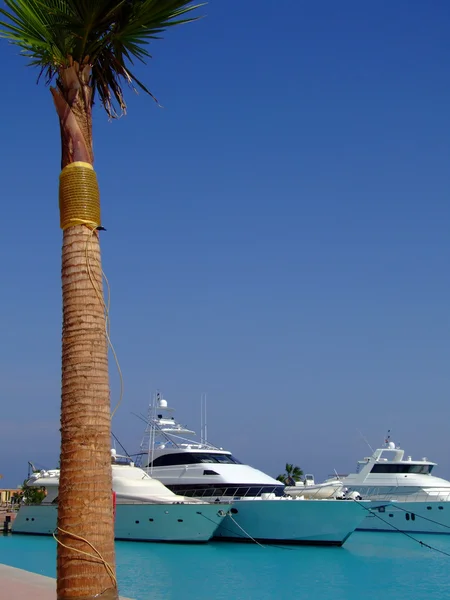 Luxury yachts 03 — Stockfoto