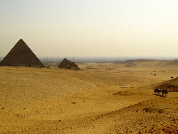 Pyramiden von Giza 11 — Stockfoto