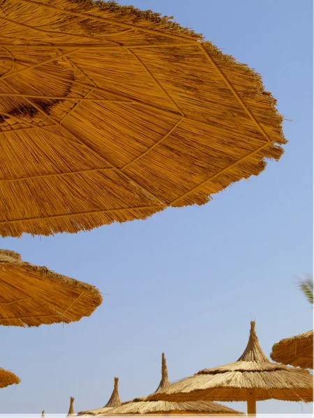 Straw parasols — Stock Photo, Image