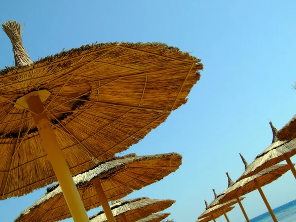 Hasır plaj şemsiyeleri — Stok fotoğraf