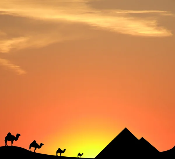 Єгипет захід сонця — стокове фото
