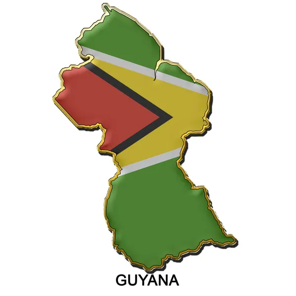 Crachá de pino de metal da Guiana — Fotografia de Stock