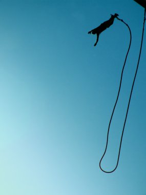 Bungee jumping 08