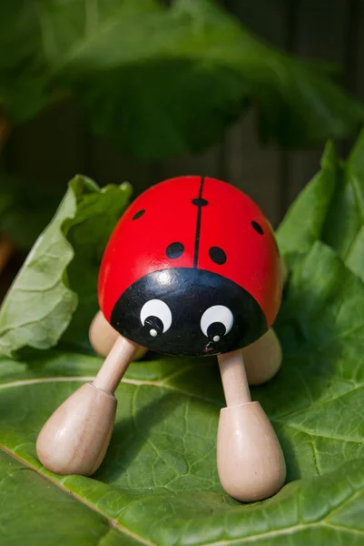 Ladybug 03 — Stock Photo, Image