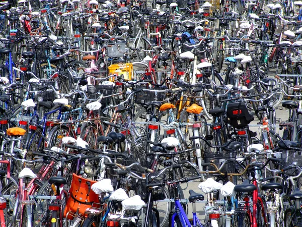 Город велосипедов — стоковое фото