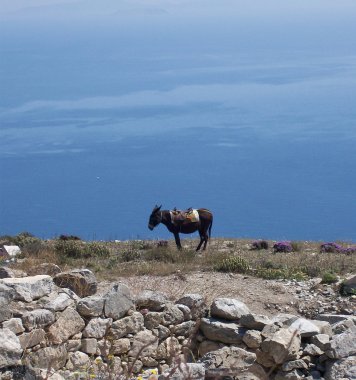 eşek Dağı'nda