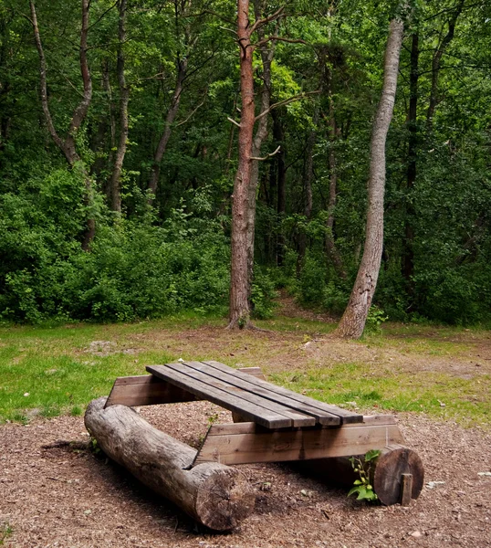 Bos picknick — Stockfoto