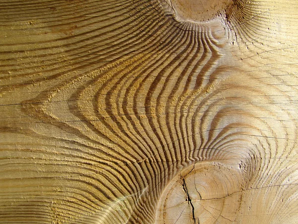 Csomózott fa texture — Stock Fotó