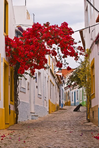 葡萄牙背街 图库照片