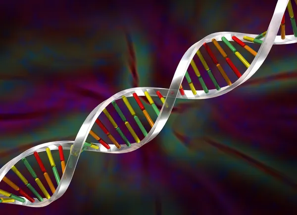 DNA strand — Stockfoto
