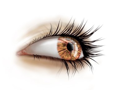 Close up of eye with long lashes clipart