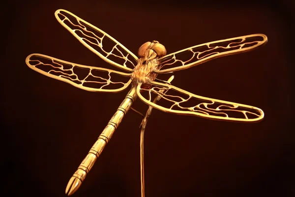 Golden Dragonfly — Stock Photo, Image