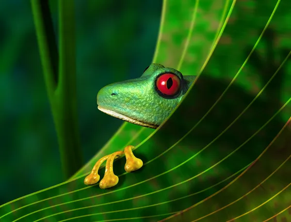 멸종 위기에 놓인된 열대우림의 나무 개구리 — 스톡 사진