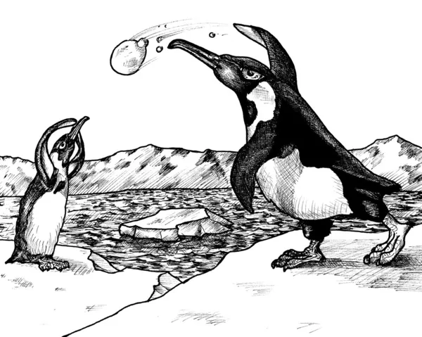 Penguin Snowball Fight — Stock Photo, Image
