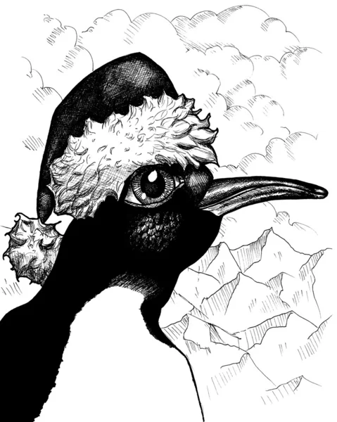 Mr pingvin — Stockfoto