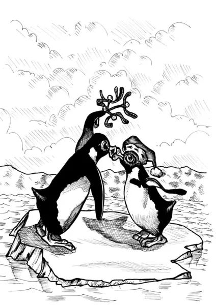 Beijo de pinguim — Fotografia de Stock