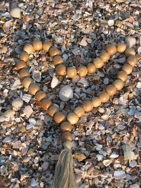 Beads On Shells (heart) — Stock Photo, Image