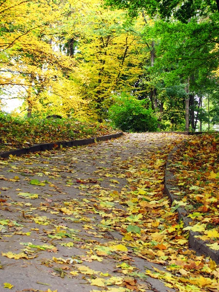Autumnal road — Stock Photo, Image