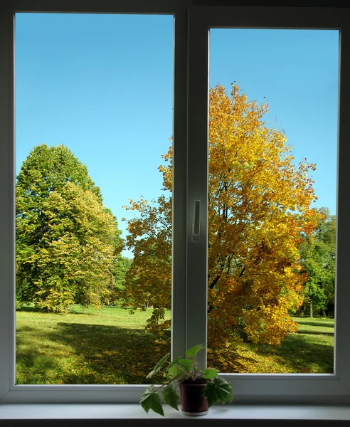 Blick aus dem Fenster — Stockfoto