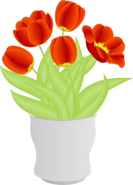 Tulips in vase — Stock Vector