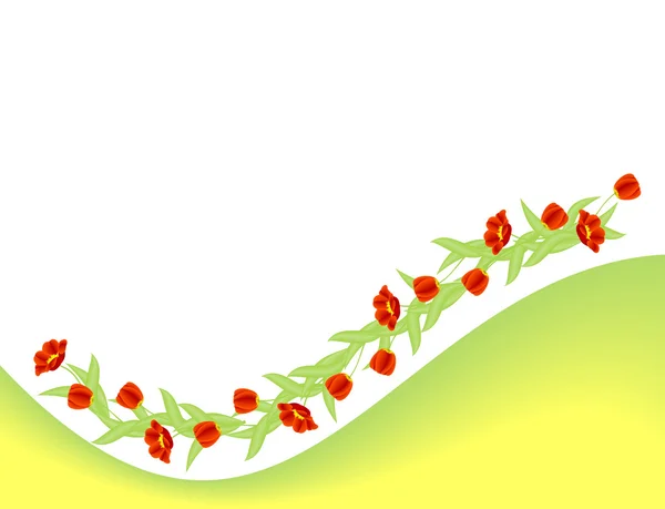 Rote Tulpen — Stockvektor