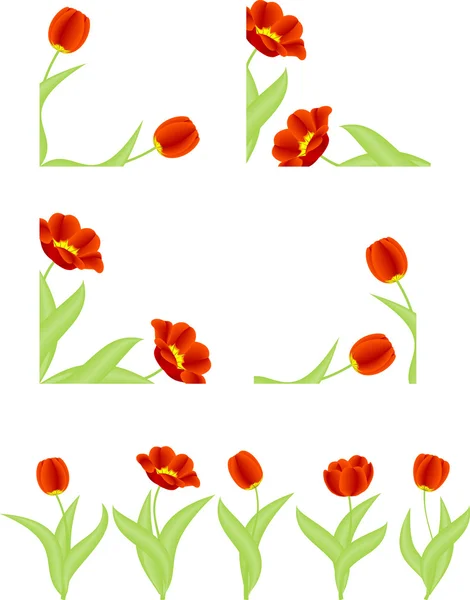 Red tulips — Stock Vector