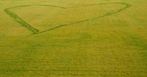 Stock image Heart on grass