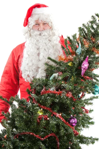 Święty Mikołaj z choinką — Zdjęcie stockowe