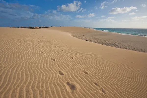 Dune di sabbia vicino all'oceano — Foto Stock
