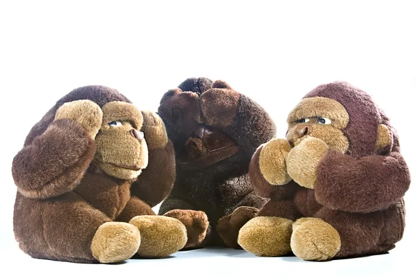 Three monkeys — Stock Photo, Image