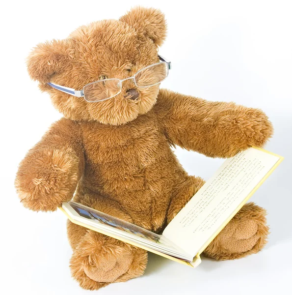 Urso de pelúcia lendo um livro — Fotografia de Stock