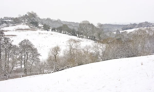 stock image Snow scene