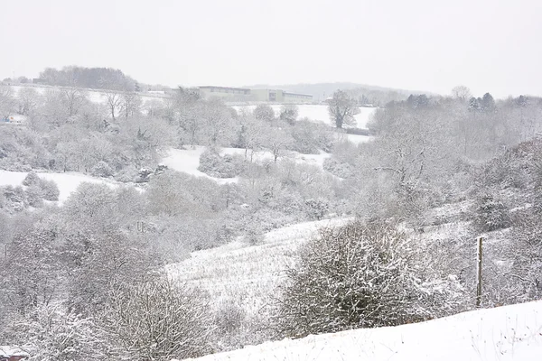 stock image Snow scene