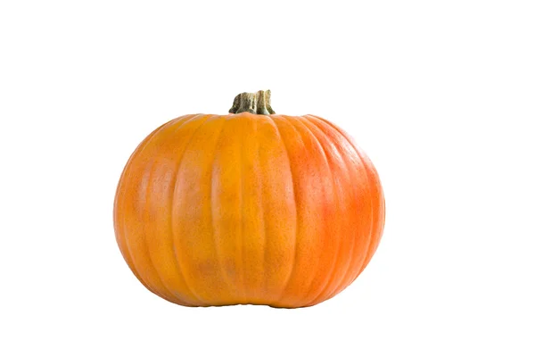 stock image Pumpkin