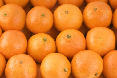 mandarins