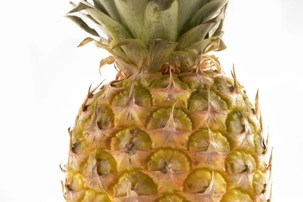 Ananas. — Stok fotoğraf