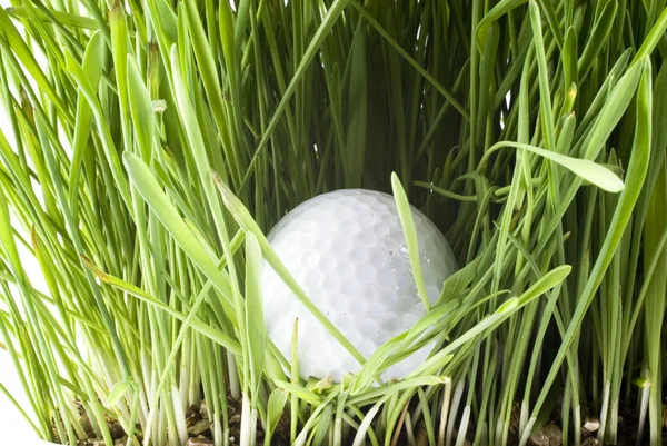 Golfball — Stock Photo, Image