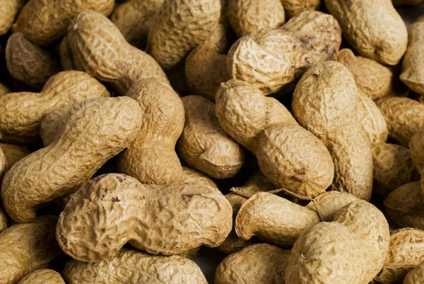 Лот арахиса — стоковое фото