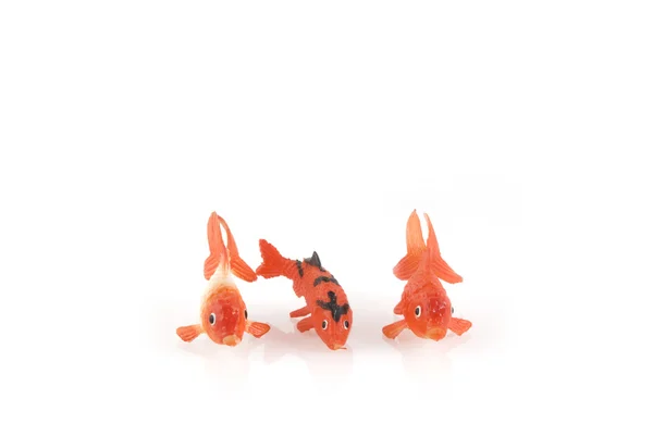 Три разных золотых рыбки — стоковое фото