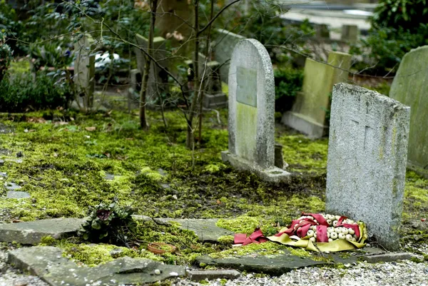 Old graves — Stock Photo, Image